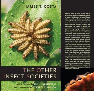 TheOtherInsectSocieties